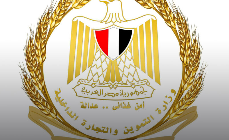 ضبط وإعدام 3 أطنان من الدواجن النافقة وغير الصالحة للاستهلاك الآدمي بالجيزة