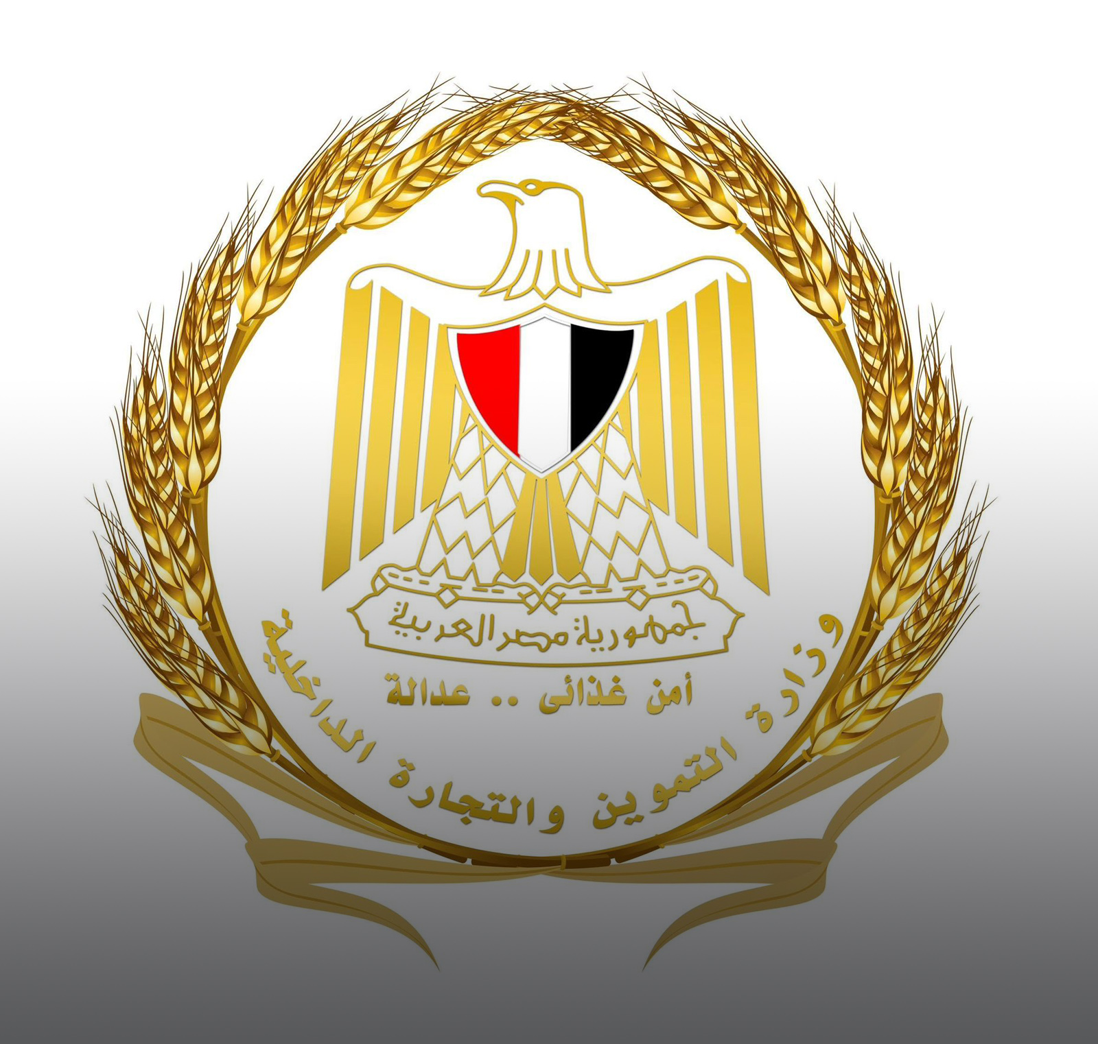 ضبط وإعدام 3 أطنان من الدواجن النافقة وغير الصالحة للاستهلاك الآدمي بالجيزة
