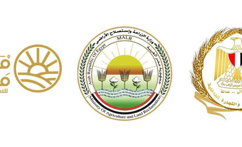 وزارة التموين والتجارة الداخلية ووزارة الزراعة واستصلاح الأراضي وجهاز مستقبل مصر للتنمية المستدامة يعلنون بدء طرح السكر الحر بسعر 25 جنيهًا