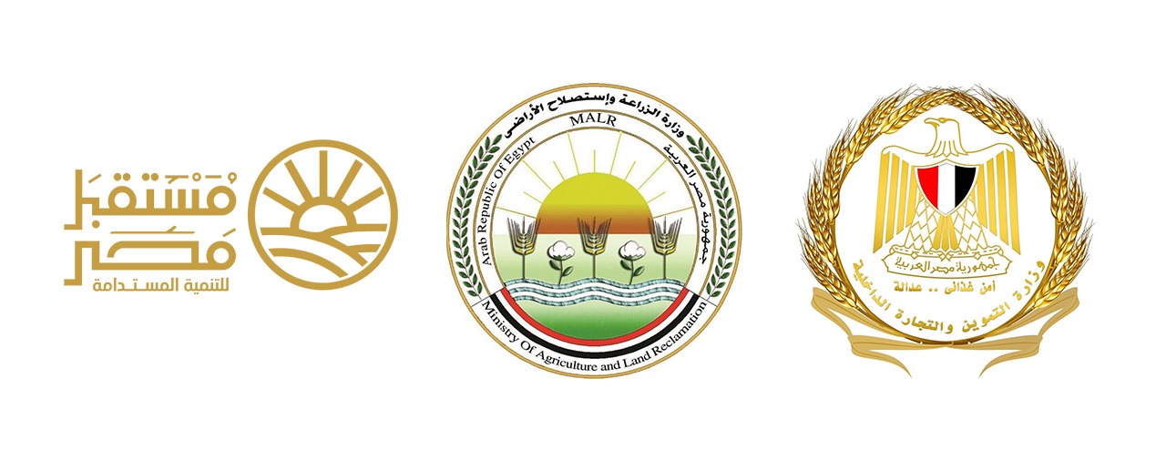 وزارة التموين والتجارة الداخلية ووزارة الزراعة واستصلاح الأراضي وجهاز مستقبل مصر للتنمية المستدامة يعلنون بدء طرح السكر الحر بسعر 25 جنيهًا